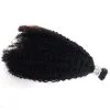I Tip Hair Extensions 4B 4C  Kinky Curly  I Tip  Human  Hair  I Tip Hair Extensions