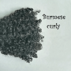 Burmese Curly Tape In Hair Extension Cuticle Aligned Raw Indian Human Hair Adhesive 100% Real Human Skin Weft Human Hair - Image 3