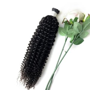 Kinky Curly I Tip Human Hair Extensions Human Kinky Curly I Tip Curly I Tip Extensions - Image 3