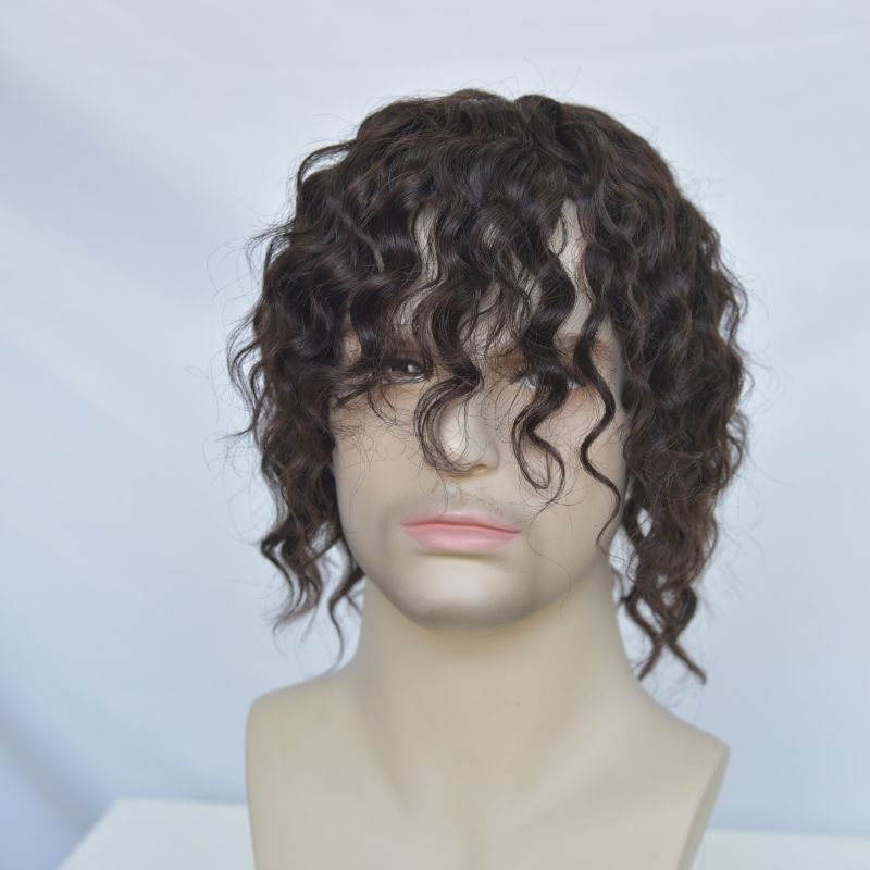 Human Hair Wigs 100% Cambodian Human Hair Short Natural Brown Loose Curly Wigs for Man and Woman 7 Inch Clip in Wigs - Image 4