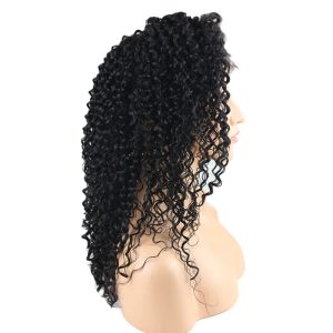 Percent Human Hair Lace Front Wigs Kinky Curly Hiar Natural Hair Line Pre Plucked Lace Front Wig With Natural Hair Line Malaysian Remy Hair - Image 3