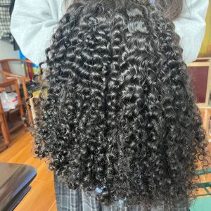 300% High Density 13x4 Lace Front Wig Curly HD Transparent Lace Frontal 12A Cambodian Human Hair Kinky Curly Wigs For Black Women with Baby Hair - Image 5
