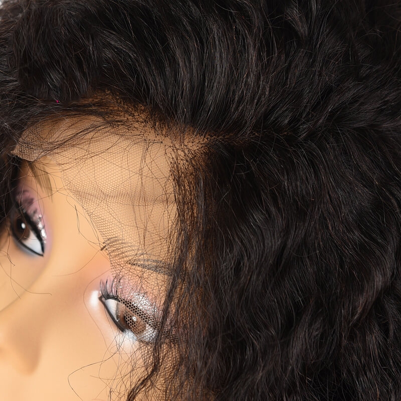 Lace Front Wig With Natural Baby Hair Pre Plucked Bleached Knots Glueless Lace Wig 250% Density Natural Hair Line For Women - Image 5