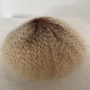 Men Toupee Human Hair Afro Curly Ombre #60 White Color Toupee for Men 8x10 inch Afro Curl Toupee for Black Men Full French Lace Hair System 360 Weave Men Toupee Hair System - Image 24